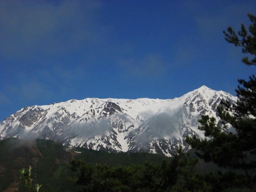 Pension Blue Hakuba Eksteriør billede
