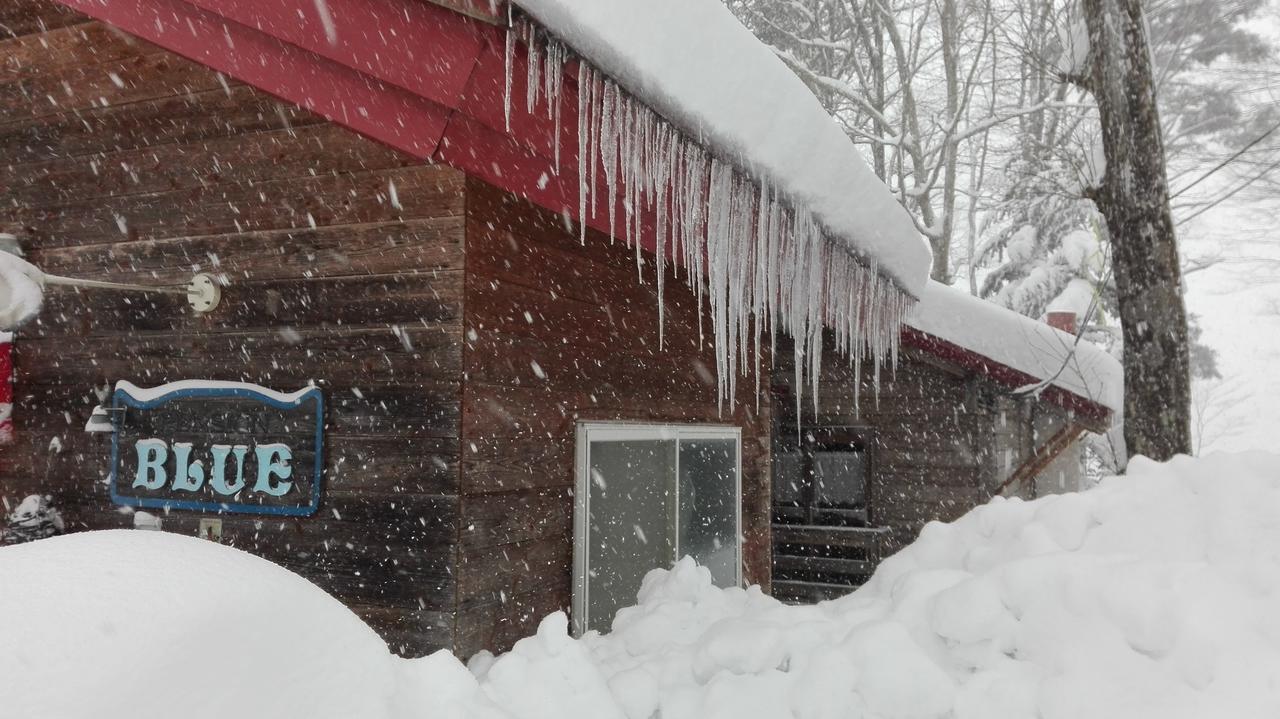 Pension Blue Hakuba Eksteriør billede