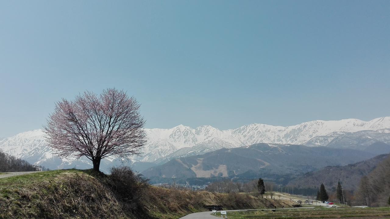Pension Blue Hakuba Eksteriør billede